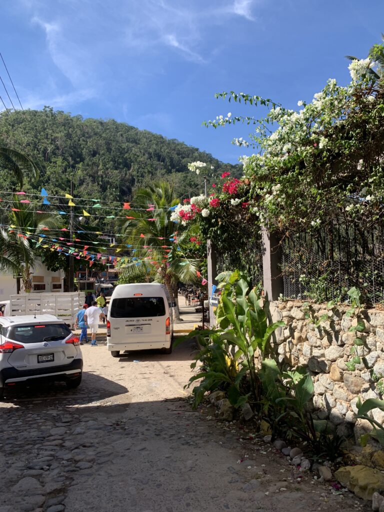 Mexican street with flags