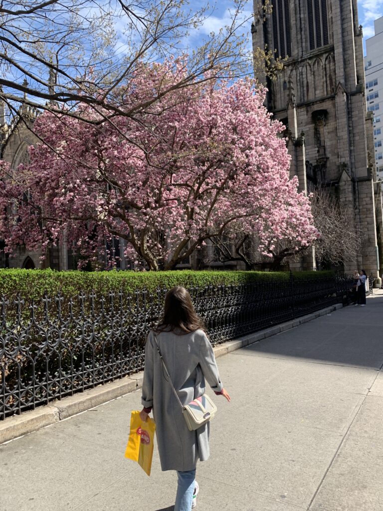 Woman walking with cherry blossoms in NYC