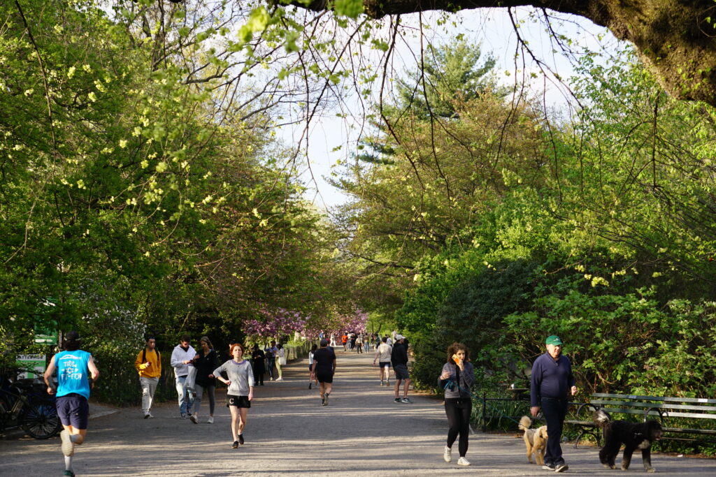 Central Park running path