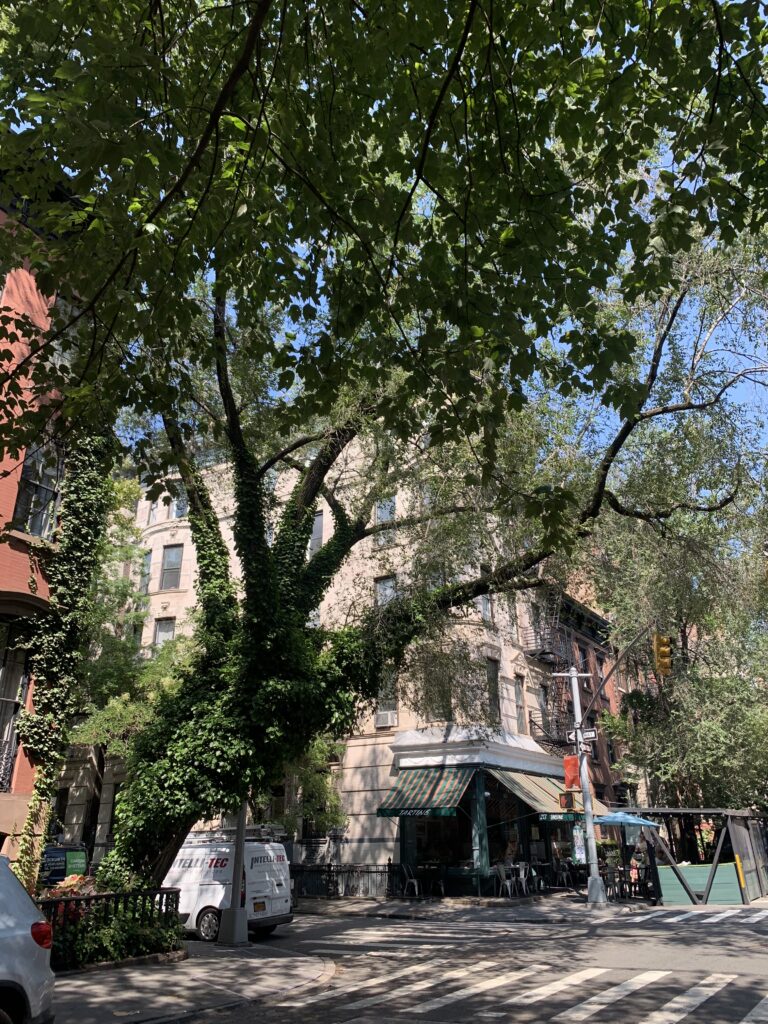 West Village street scene