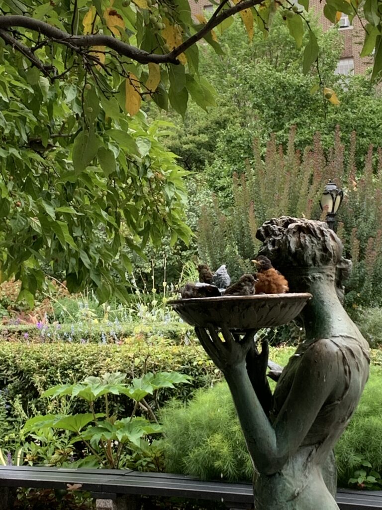 Bird bath in Central Park Conservatory garden