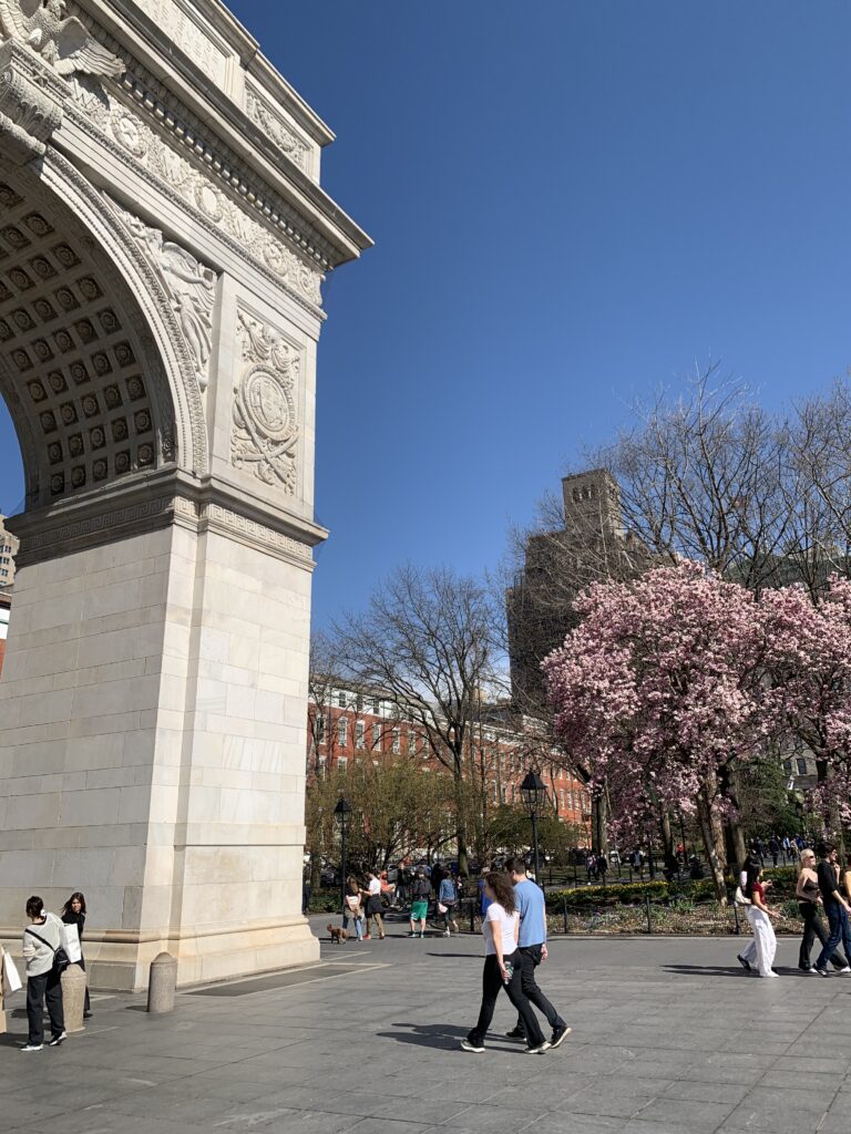 Spring Magnolia Washington Square Park