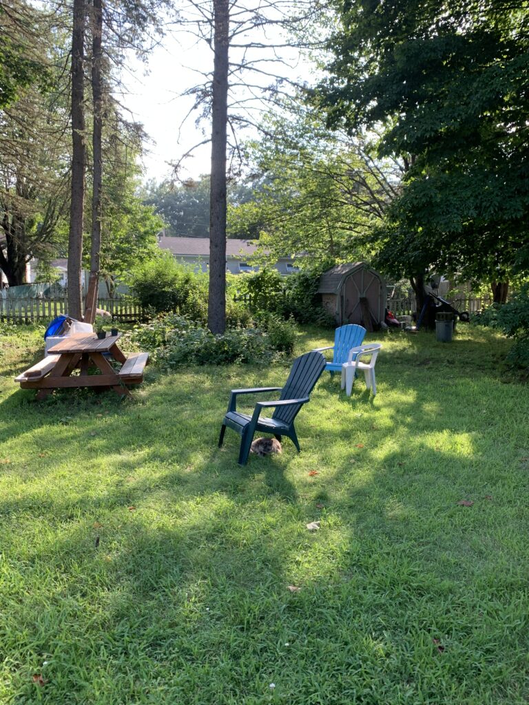 backyard in Vermont summer