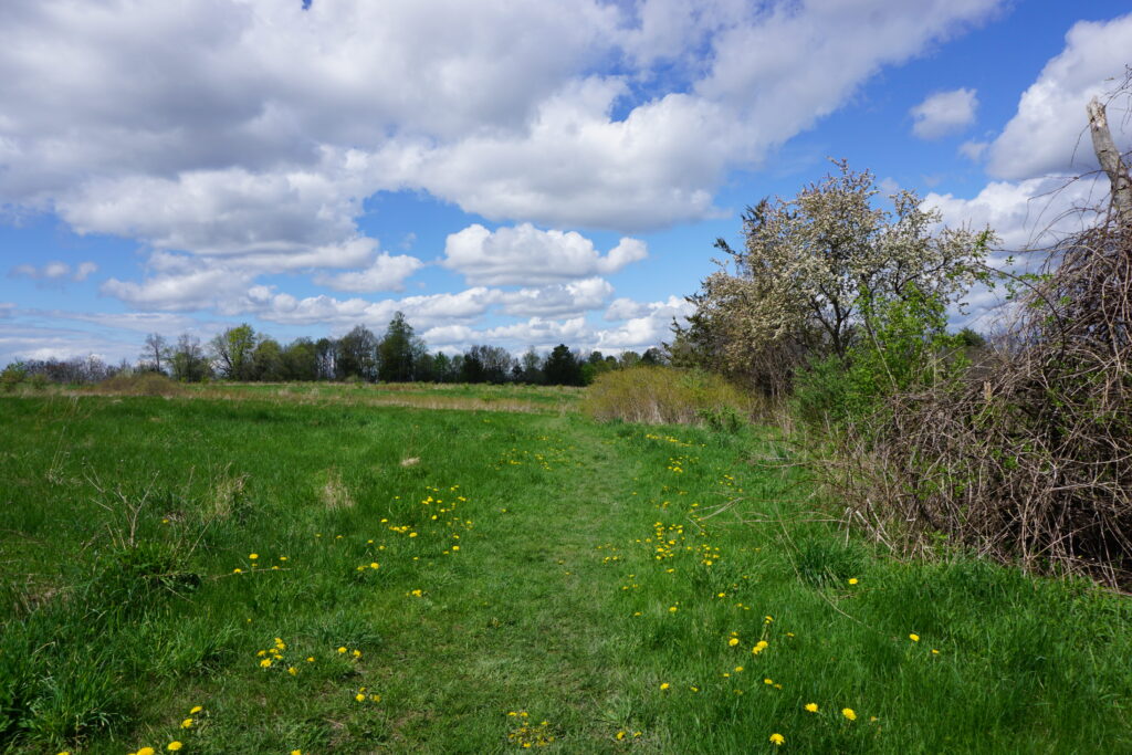 Meadow landscape Vermont