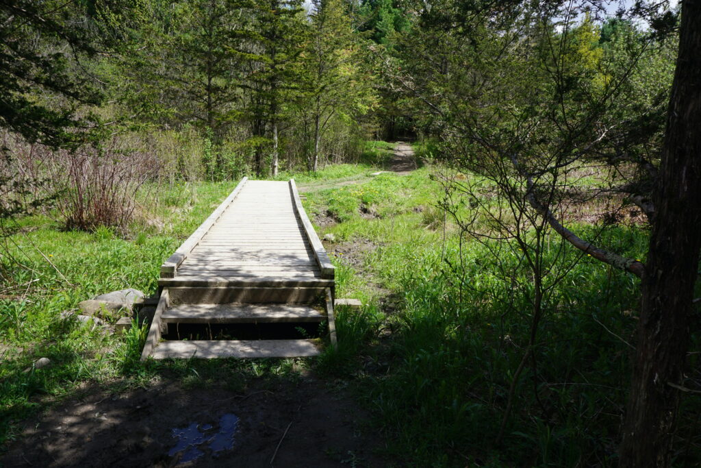 Wood bridge over small creek