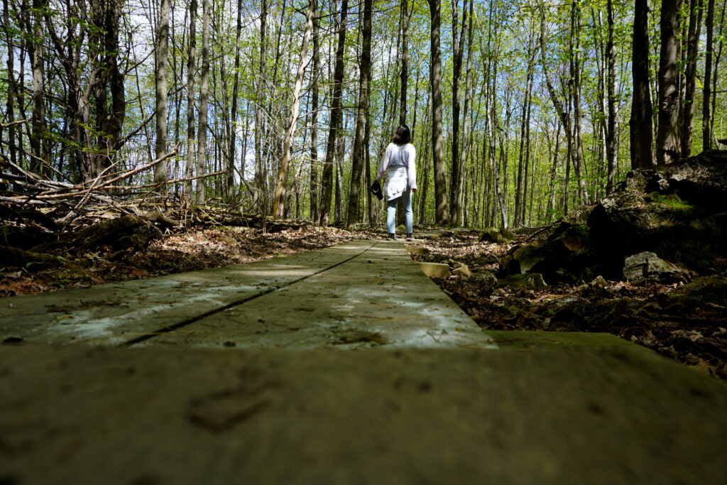 Woman in woods of South Burlington 