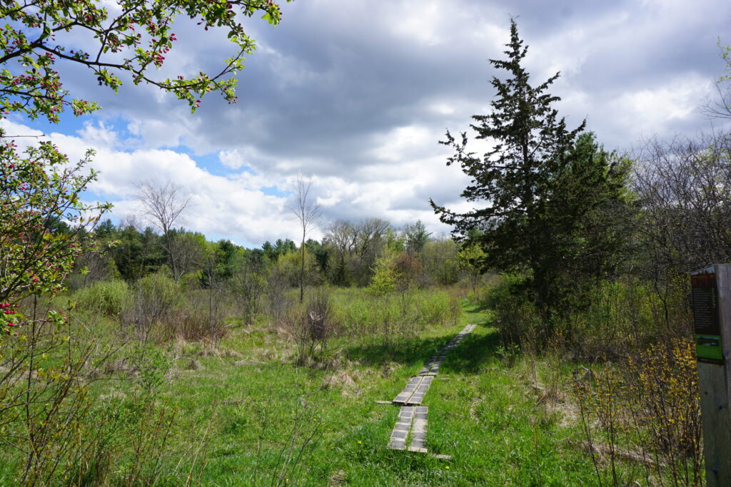 nature area landscape