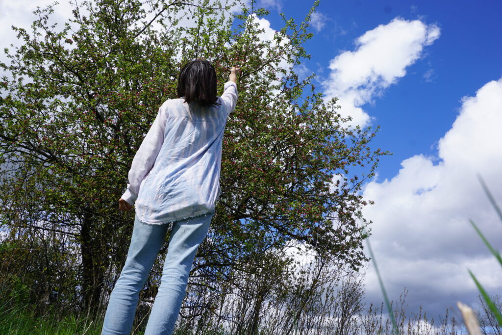 Woman reaching for blossoms