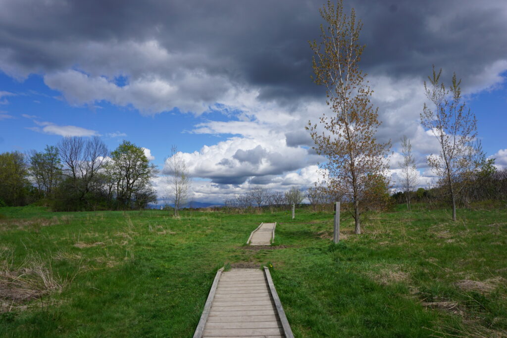 dark clouds over meadow scene