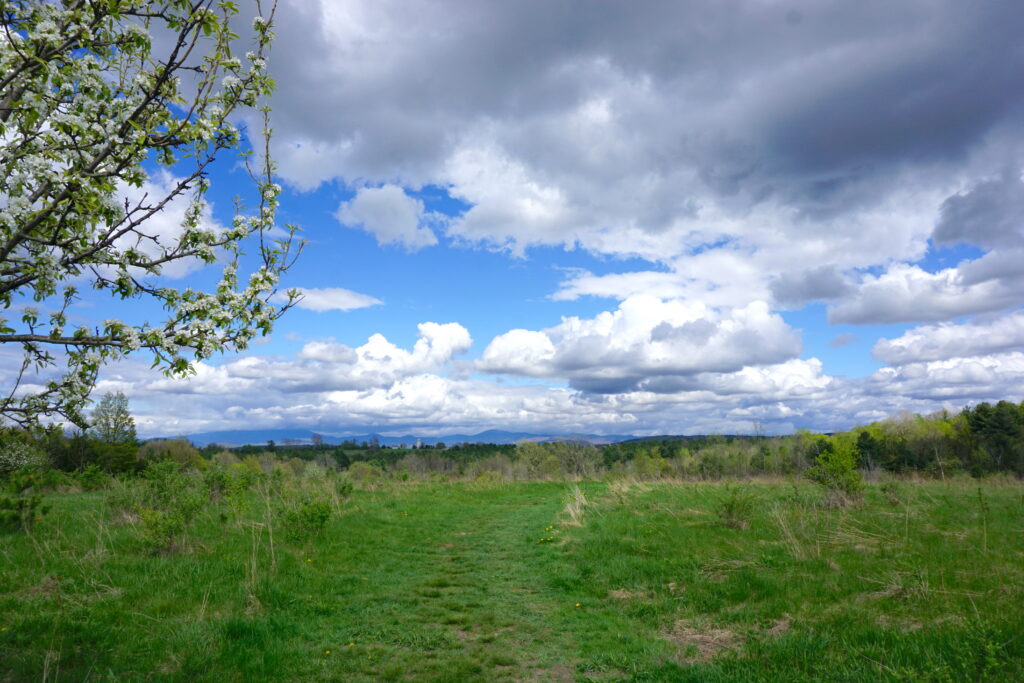 Landscape view of camels hump