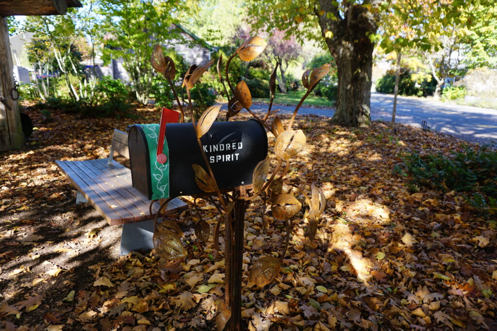 Fall leaves and mail box