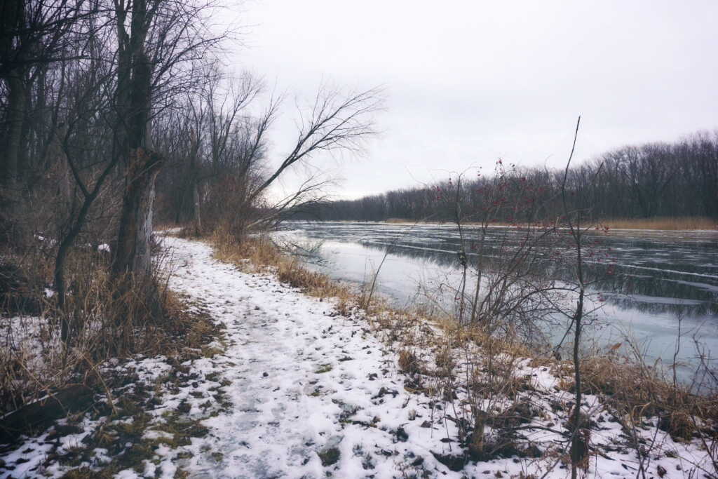 River in the winter