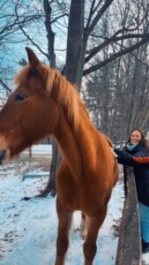 Girl petting horse