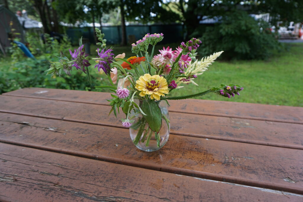 flowers in wine glass