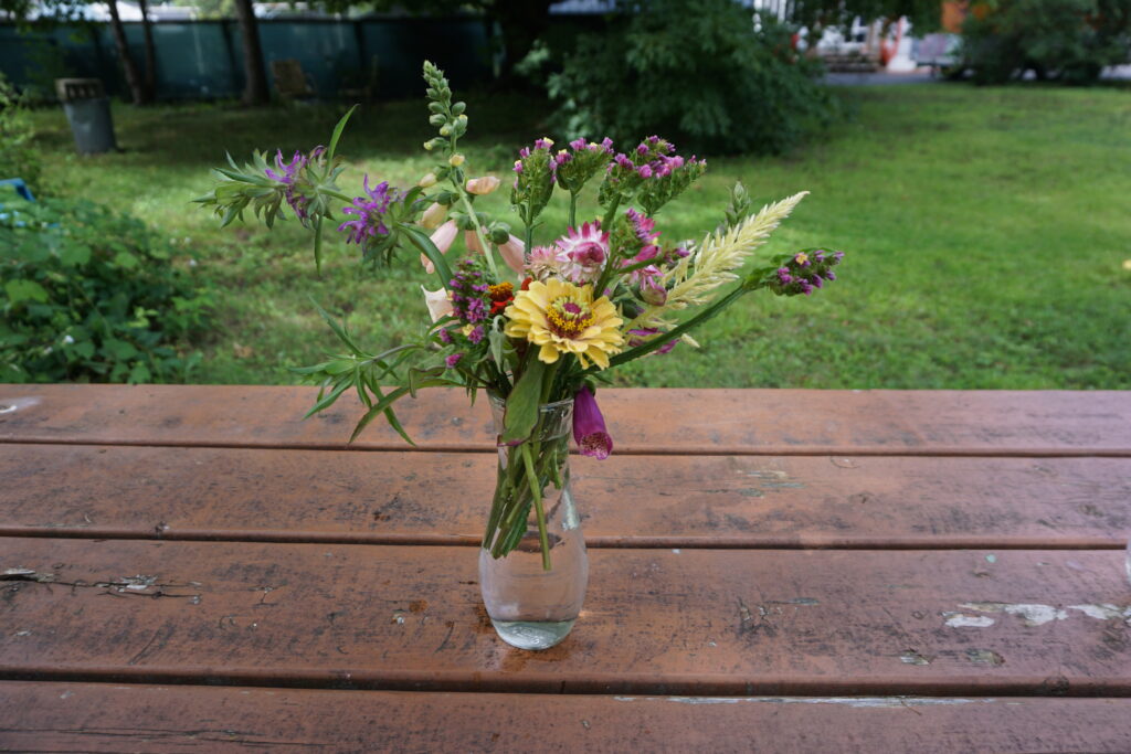 flowers in vase