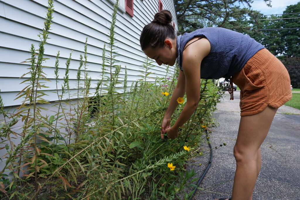 girl clipping flowers