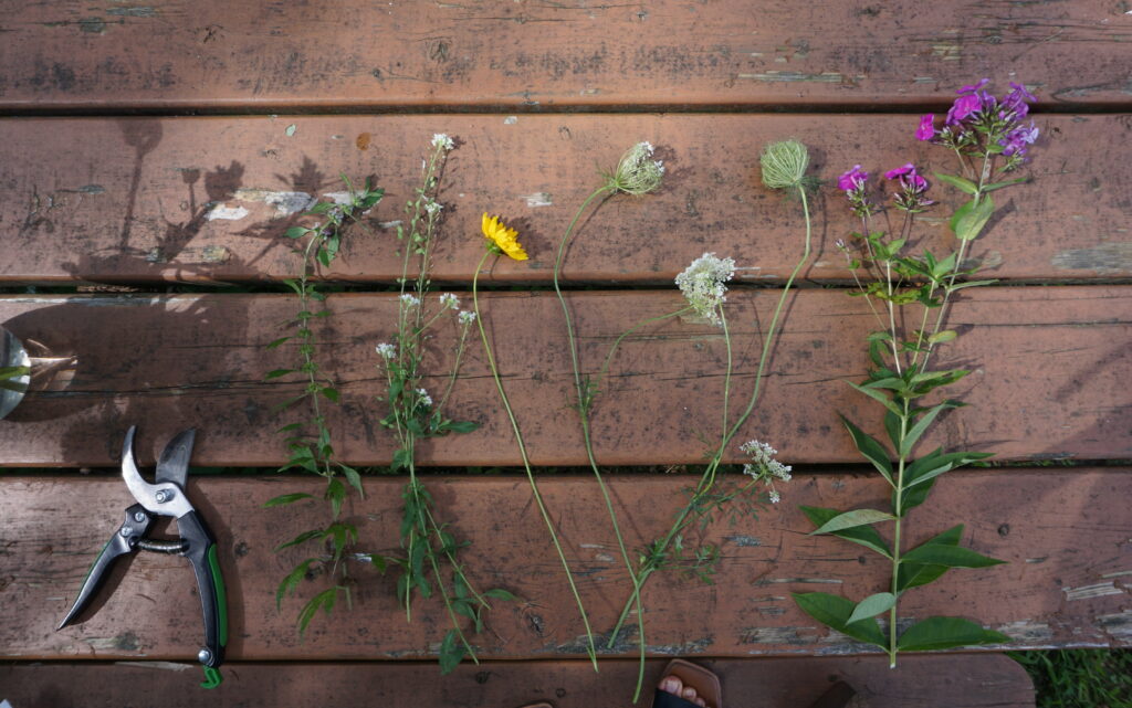 selection of foraged flowers