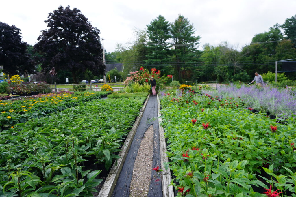 Flower nursery