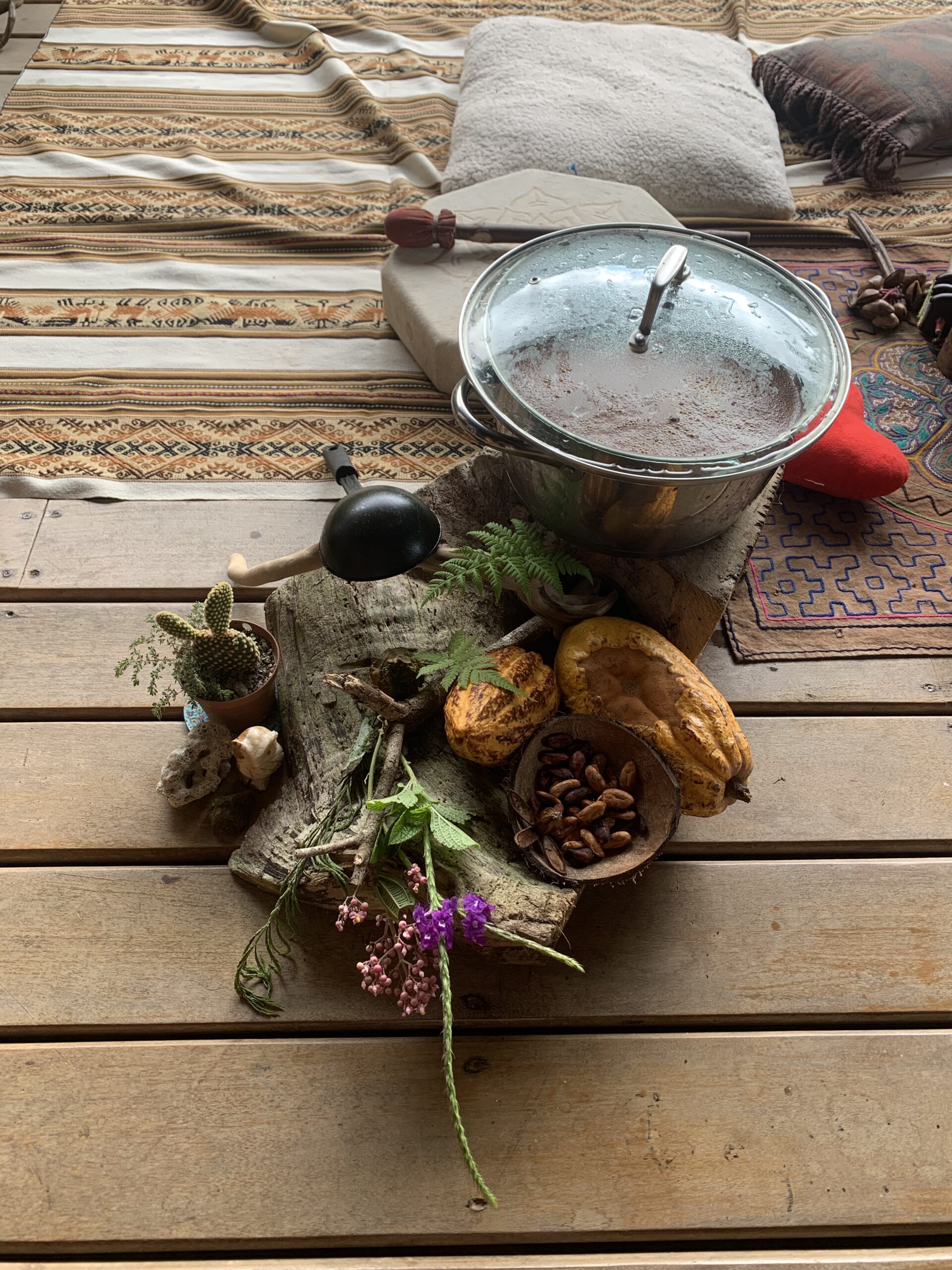 Cacao fruit and seeds