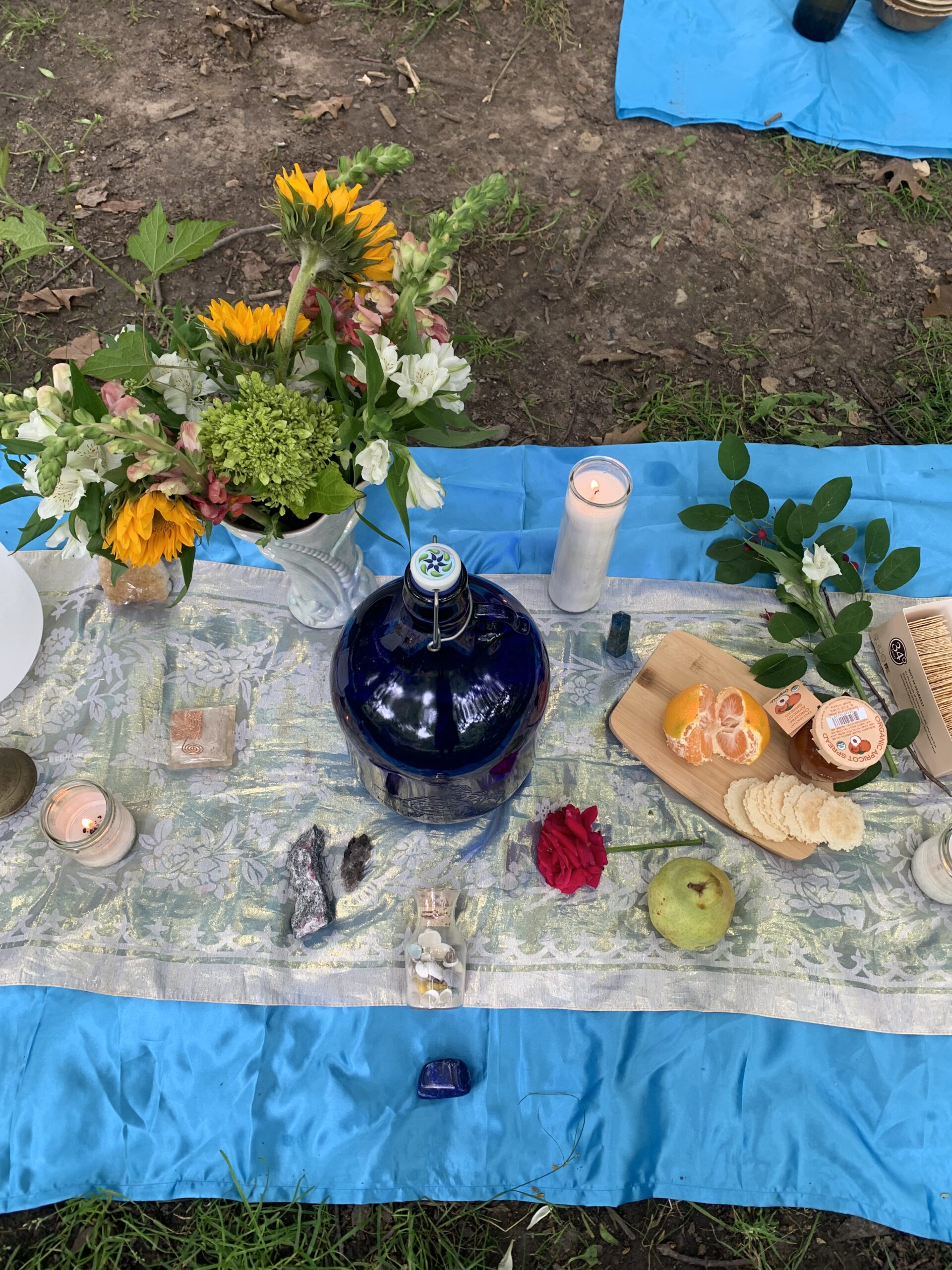 Table spread for park picnic gathering