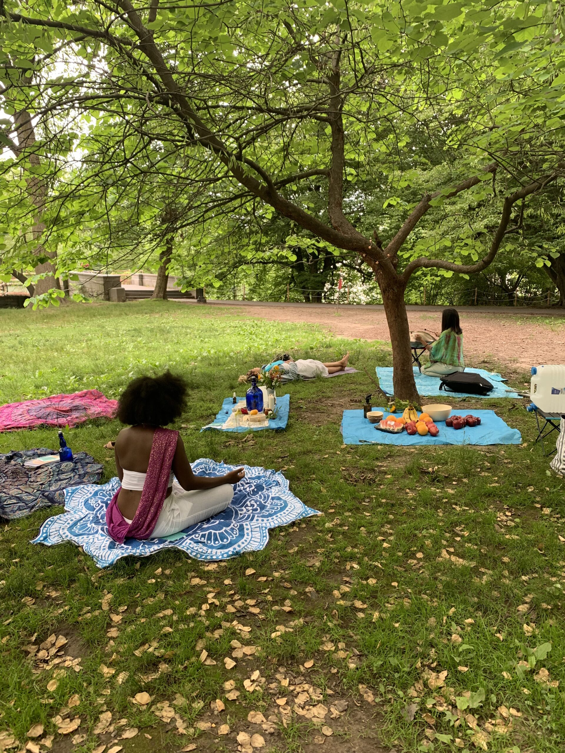 Blankets laid out in park