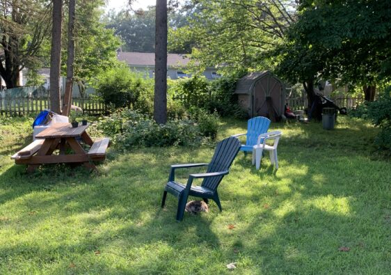 backyard in Vermont summer