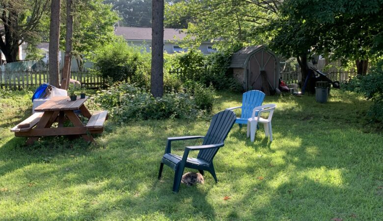 backyard in Vermont summer