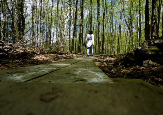 Woman in woods of South Burlington