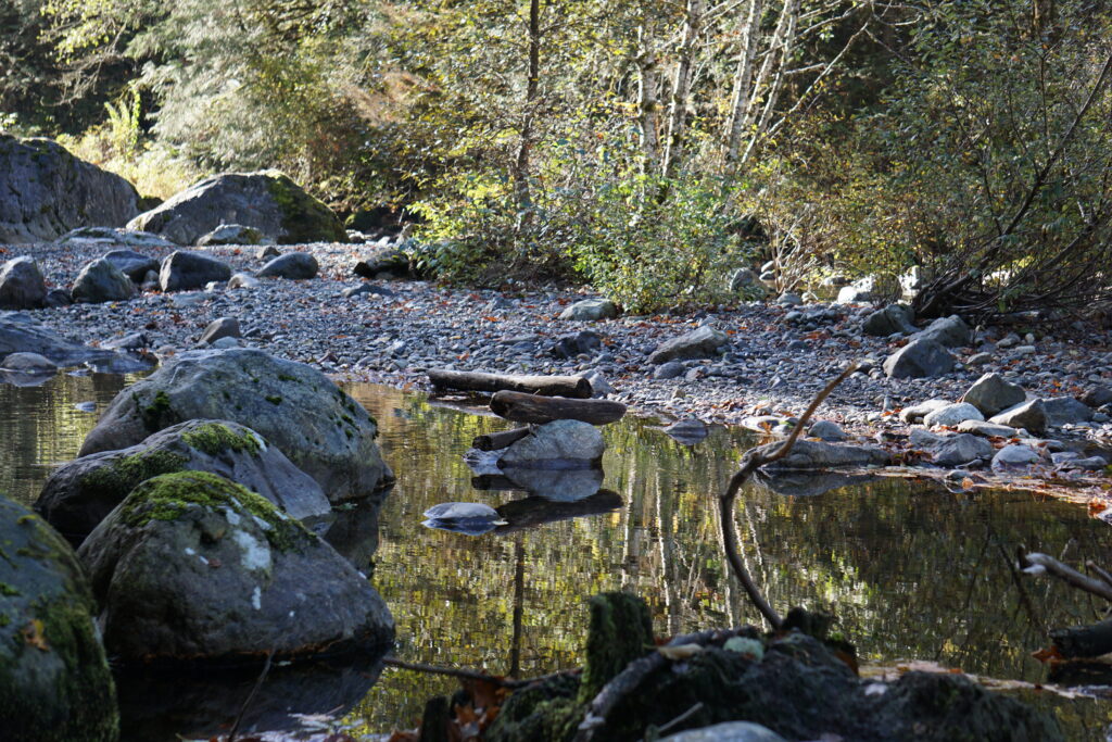 small river and stones